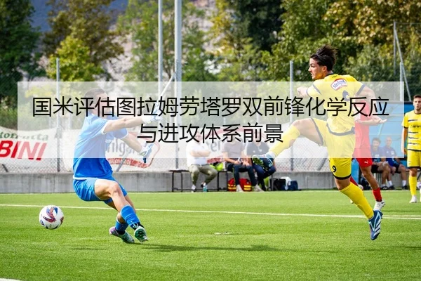 国米评估图拉姆劳塔罗双前锋化学反应与进攻体系前景 | kaiyun